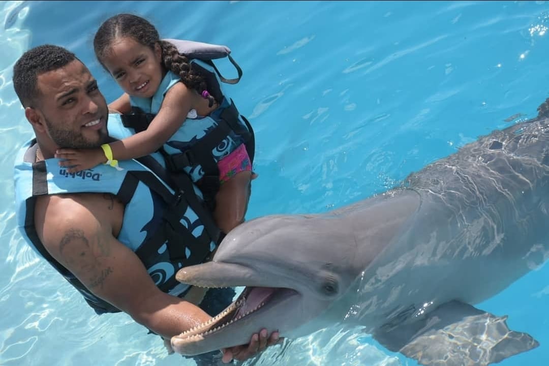 Dolphins