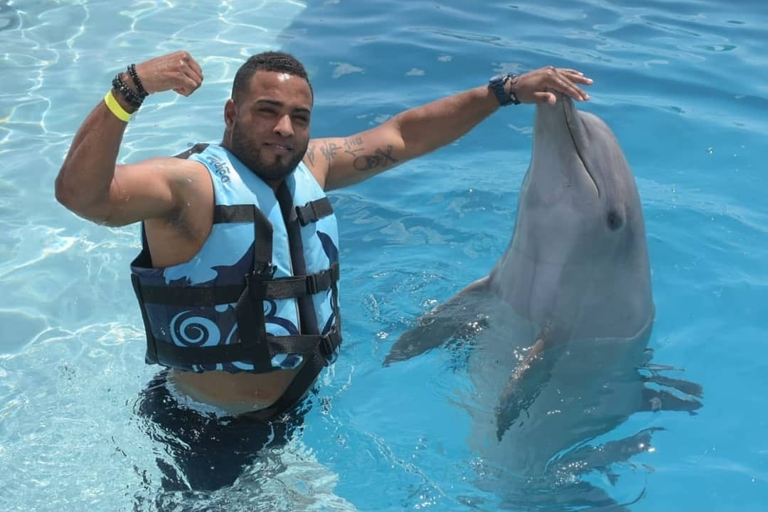 Dolphins