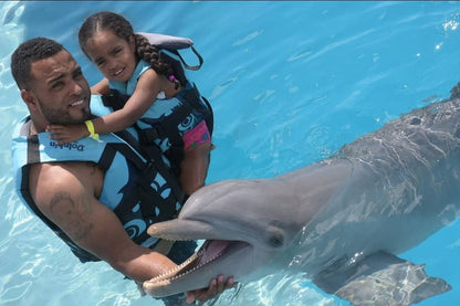 Dolphins