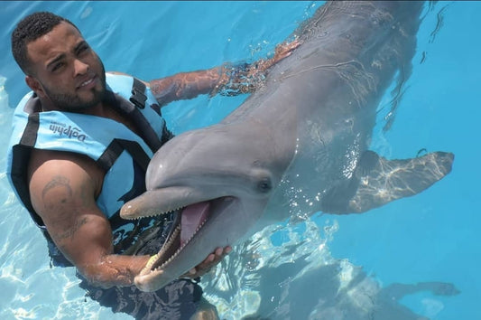 Dolphins